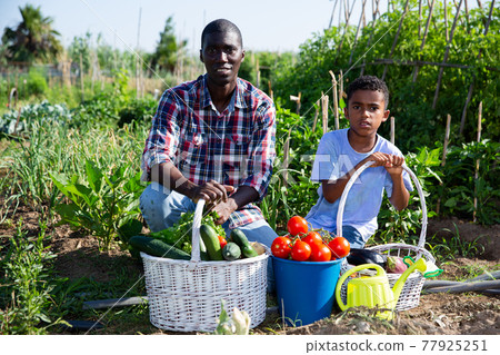 Happy family with harvest of vegetables in the garden 77925251