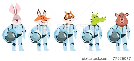 Animals astronauts. Cosmonaut in white cosmic costumes with helmets in hands, cute hare and fox, rabbit and tiger, crocodile and bear galaxy explorers, vector cartoon isolated set Animals astronauts. Cosmonaut in white cosmic costumes with helmets in hands, cute hare and fox, rabbit and tiger, crocodile and bear galaxy explorers, vector cartoon isolated set 77926077