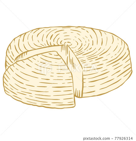 Head of Adyghe cheese. Vector. Whole soft cheese. A cut piece from a whole head of cheese. 77926314