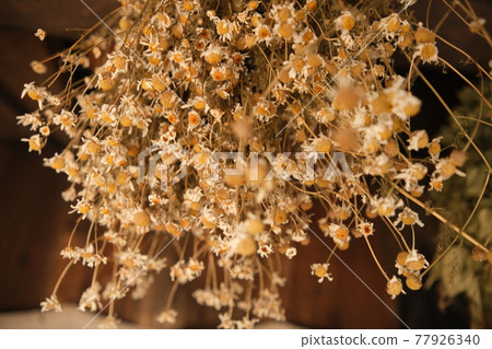 Dried chamomile flowers bouquet. Close-up. Selective focus. The texture of medicinal herbs 77926340