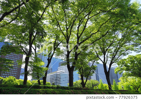 May Chiyoda 136 和田倉公園的新鮮綠地和摩天大樓 77926375
