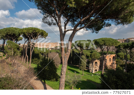 古競技場鬥獸場 77927071