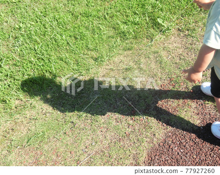 The shadow of a girl falling on the lawn in early summer 77927260