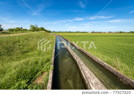 Two Small Concrete Irrigation Canals a Rural Scene - Padan Plain Italy 77927820