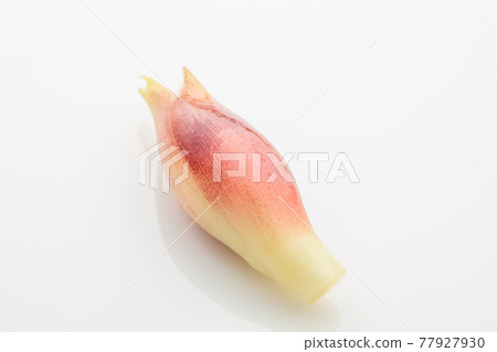 Myoga Myoga 77927930