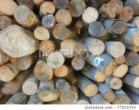 Quadruple firewood full screen Quadruple firewood full screen 77928354