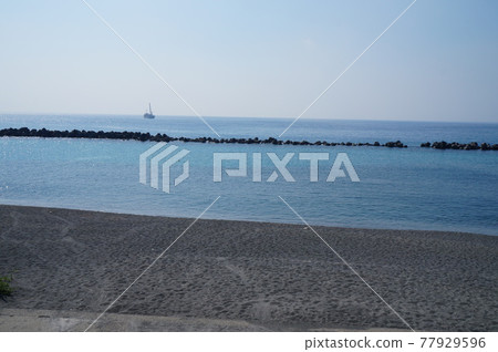 新島海岸 新島海岸 77929596