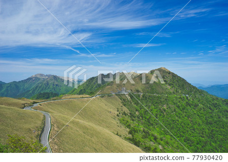 Kamegamori Road Driveway 2 in early summer 77930420