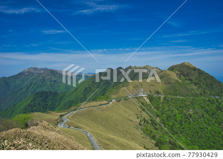 Kamegamori Road Driveway 10 in early summer 77930429