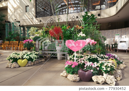 名古屋久屋大通花園 Flarier 大型溫室中被鮮花環繞的躺椅 77930452