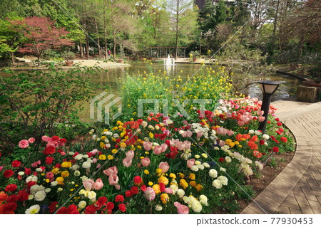 名古屋久屋大通花園 Flarie 通往水上花園的鬱金香小路 77930453