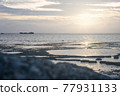 與潮汐的夜景 77931133