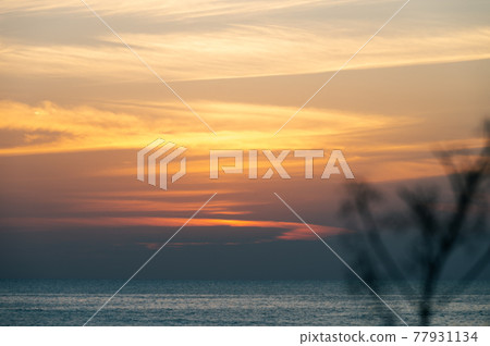 夕陽燃燒成紅色 夕陽燃燒成紅色 77931134