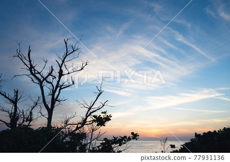 Blue sky and madder red sky Blue sky and madder red sky 77931136