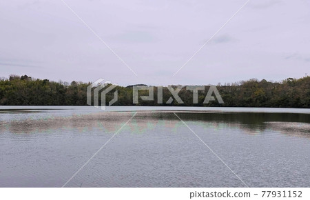 Early spring Lake Ippeki Izu no Hitomi Mori Lakeside 77931152