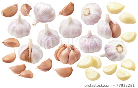 Big set of garlic. Bulbs, heads, cloves, segments isolated on white background Big set of garlic. Bulbs, heads, cloves, segments isolated on white background 77932281