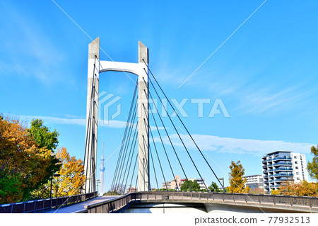 Kiba Park / Kiba Park Ohashi (Koto-ku, Tokyo) [2020.11] 77932513
