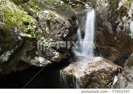 The flow of water in the valley 77932547