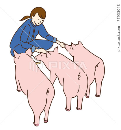 Agricultural girls, livestock girls, pig farming women, illustrations Agricultural girls, livestock girls, pig farming women, illustrations 77933048