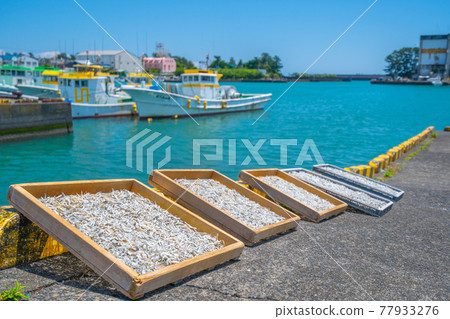 Mochimune fishing port Shirasu is a famous fishing port in Shizuoka prefecture Mochimune fishing port Shirasu is a famous fishing port in Shizuoka prefecture 77933276