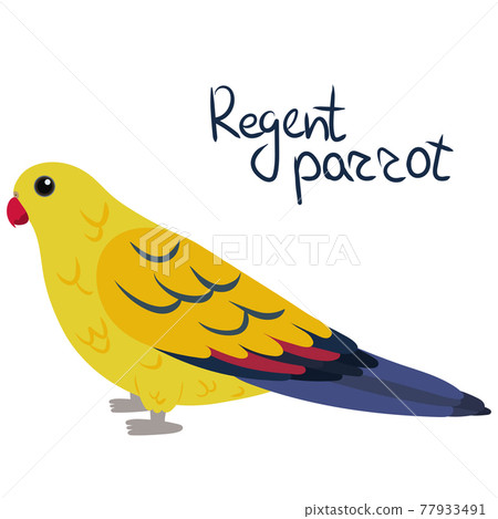 Regent parrot or rock pebbler in cartoon style on white background. Polytelis anthopeplus 77933491