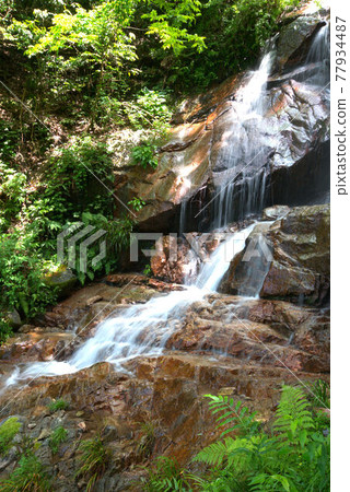 Onbuchi Waterfall 2 垂直方向 Onbuchi Waterfall 2 垂直方向 77934487