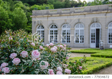 Kawazu Bagatelle 公園的玫瑰和橘園 77934672