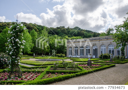 Roses and orangeries in Kawazu Bagatelle Park Roses and orangeries in Kawazu Bagatelle Park 77934673