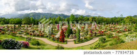 View from the kiosk of Kawazu Bagatelle Park View from the kiosk of Kawazu Bagatelle Park 77934716