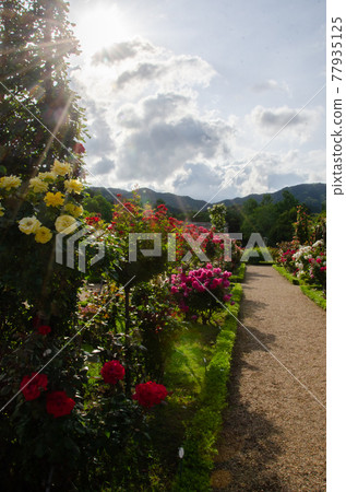 Kawazu Bagatelle Park Kawazu Bagatelle Park 77935125