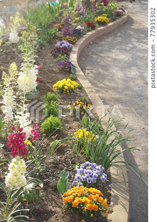 flower bed  77935302