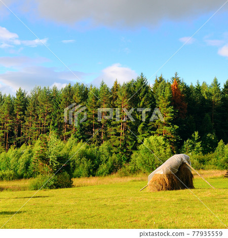 Mountains, a vast meadow, haystacks on bright summer day. Mountains, a vast meadow, haystacks on bright summer day. 77935559
