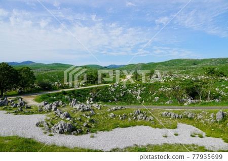 秋吉台(喀斯特天文台附近的景色) 秋吉台(喀斯特天文台附近的景色) 77935699
