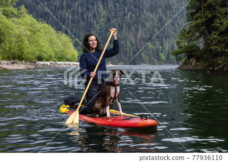 Adult Caucasian Adventure Woman on a paddle board with boxer dog 77936110