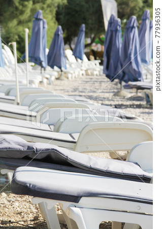 Rows of empty chaise-lounges 77936305