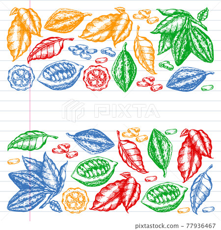 Colorful cocoa beans illustration on black background. Engraved style illustration. Chocolate cocoa beans. Vector pattern illustration 77936467