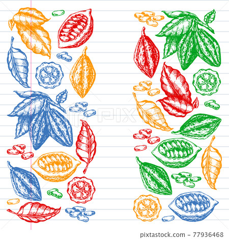 Colorful cocoa beans illustration on black background. Engraved style illustration. Chocolate cocoa beans. Vector pattern illustration 77936468
