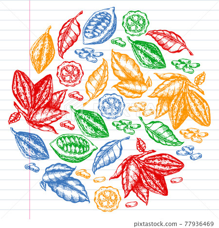 Colorful cocoa beans illustration on black background. Engraved style illustration. Chocolate cocoa beans. Vector pattern illustration 77936469