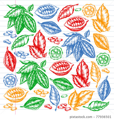 Colorful cocoa beans illustration on black background. Engraved style illustration. Chocolate cocoa beans. Vector pattern illustration 77936501