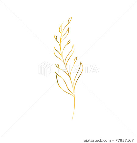 The golden sprig. Vector image with a golden twig. Template for the logo element. The golden sprig. Vector image with a golden twig. Template for the logo element. 77937167