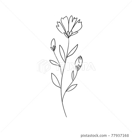 Sketch a leaf branch by hand on an isolated background. Sketch a leaf branch by hand on an isolated background. 77937168
