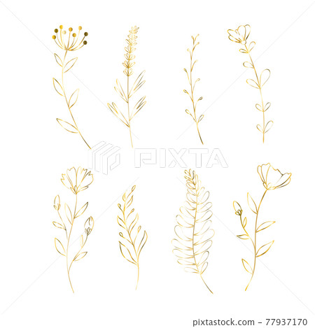 Set of golden flowers. Decoration floral elements for wedding. Vector isolated spring gold poppy, rose, lily. Set of golden flowers. Decoration floral elements for wedding. Vector isolated spring gold poppy, rose, lily. 77937170