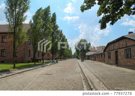 Poland, Auschwitz, barracks and alley of auschwitz 1 Poland, Auschwitz, barracks and alley of auschwitz 1 77937278