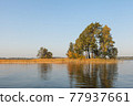 trees on a small river island on a sunny autumn day 77937661