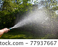 woman watering the garden with a hose. Water droplets in the air. 77937667