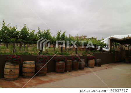 California wineries 77937717