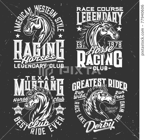 Tshirt prints with horse stallion equestrian sport Tshirt prints with horse stallion equestrian sport 77940606
