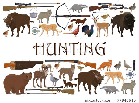 Hunting, animals and rifle guns, safari hunt sport 77940619
