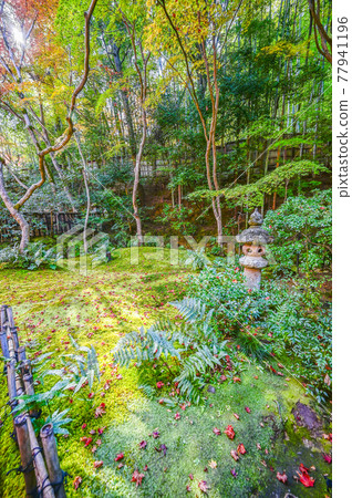 Giouji Temple in autumn colors, lantern next to Kusan (Kyoto) Giouji Temple in autumn colors, lantern next to Kusan (Kyoto) 77941196