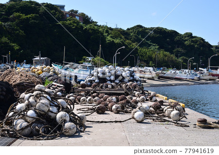三浦半島金田漁港風光 77941619
